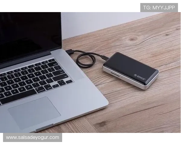 探索开云登录的安全性：保护个人信息和账户安全的技巧