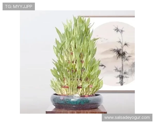 下载开运真人苹果版，轻松掌握每日运势变化，提升个人魅力和生活品质