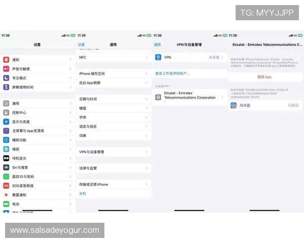 开云app官方入口苹果版最新版本下载安装指南与详细操作流程