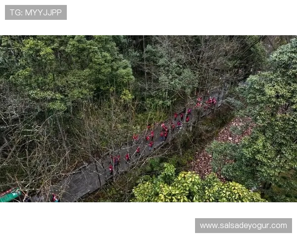 云开体育提供专业体育资讯和赛事分析，满足体育爱好者深度了解和交流的需求